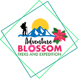 Adventure Blossom